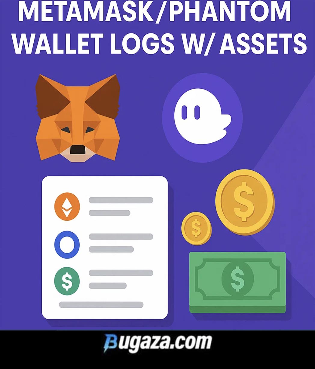 Metamask/Phantom Wallet Logs